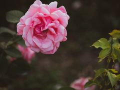 -陶然亭公园