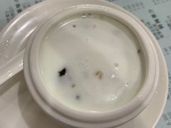 -俊丽双皮奶甜品店