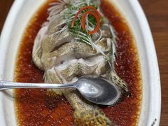 -老绍兴养和饭店(向阳不夜城店)