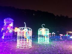 -飞凤山奥体公园