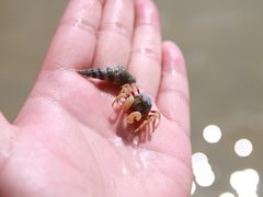 -北海金海湾红树林生态旅游区