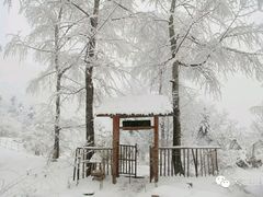 -终南山国家森林公园