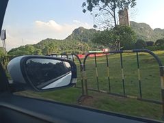 -南宁花花大世界景区
