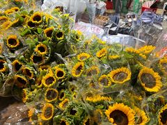 -循礼门鲜花花市(武汉循礼门店)