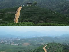 -龙坞茶村