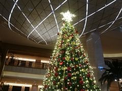 -上海大酒店(南京东路店)