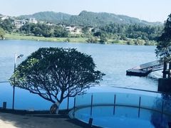 -白云湖畔酒店-湖畔餐厅