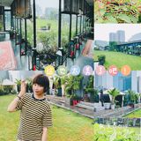北京探店｜绝美空中花园·正宗淮扬菜🌼