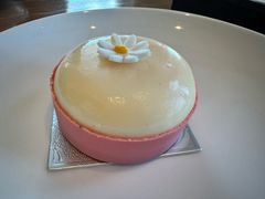 -嘉定凯悦·咖啡厅