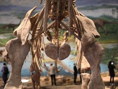 -自贡恐龙博物馆