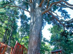 -终南山南五台景区