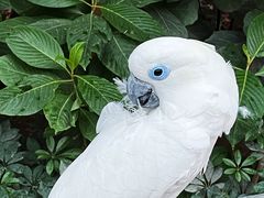 -南宫五洲植物乐园