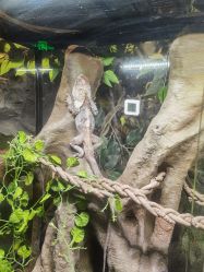 -Zoolung Zoolung动物主题公园(海信广场店)