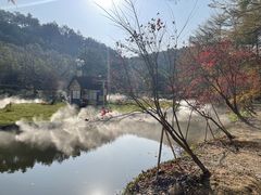 -田野绿世界