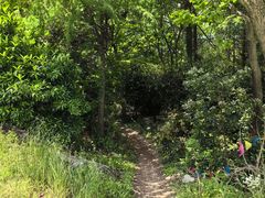 -达蓬山旅游度假区