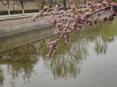 -元大都城垣遗址公园