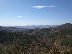 -北京西山国家森林公园