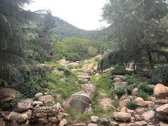 -泰安东尊华美达广场酒店(泰山景区店)