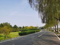 -洨河生态公园