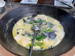 千岛湖胖头鱼-好灶头妈妈菜·柴火灶台鱼·千岛湖土菜地标美食