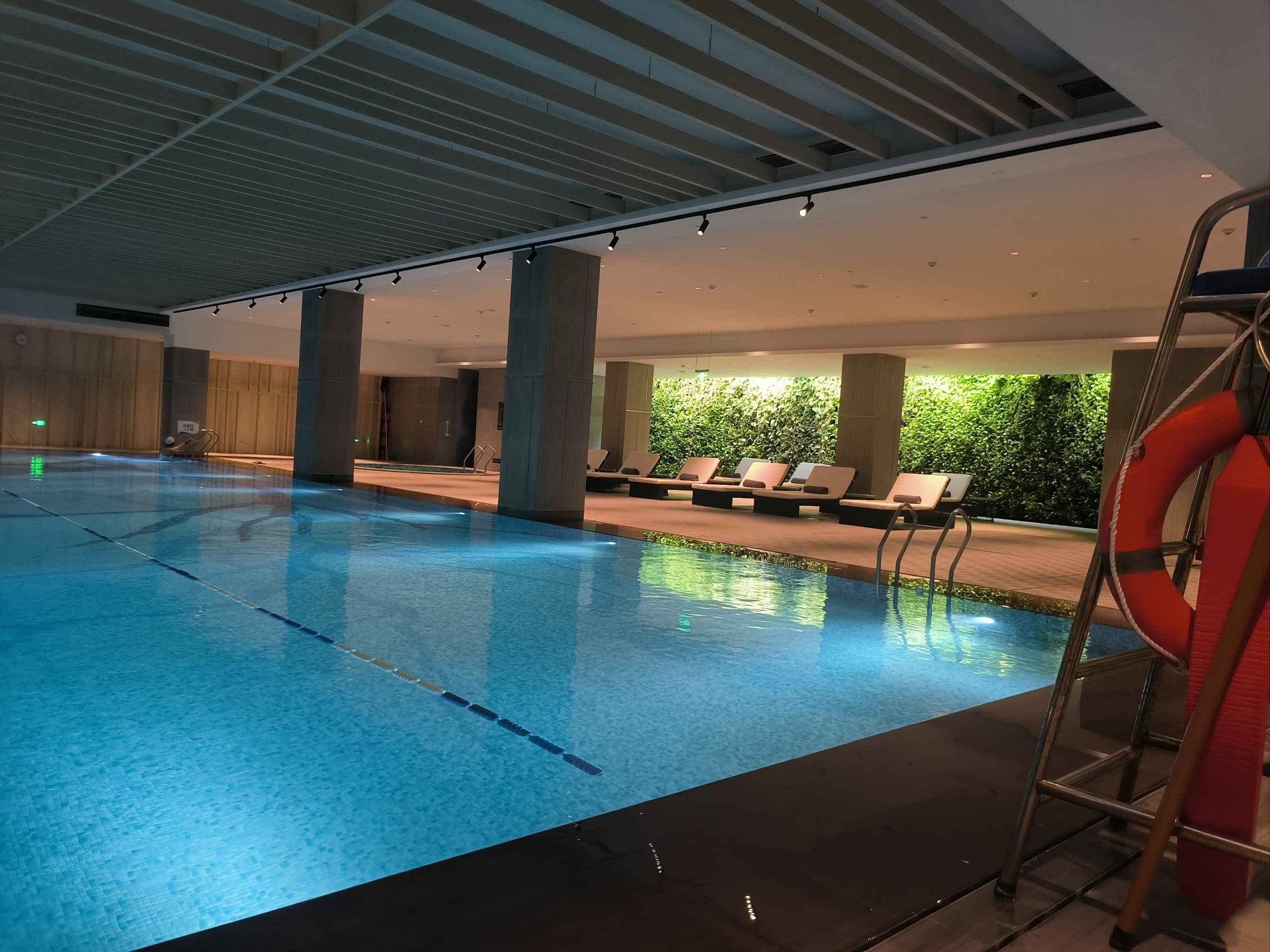 希尔顿酒店游泳