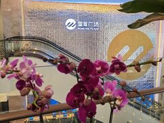 -皇庭广场(福华三路店)