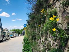 -白草畔自然风景区