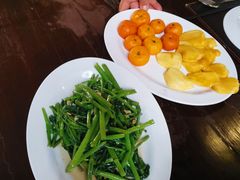 -绿光森林餐厅