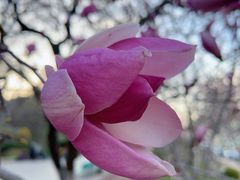 -大连植物园