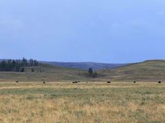 Lamar&nbsp;Valley-拉马尔山谷