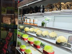 -番食园鲜食火锅(高新店)