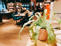 -光海书局(南京东路第一百货店)