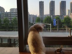 -凯德广场(武胜路店)