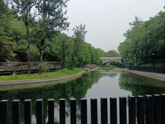 -白水寺森林公园