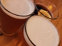 -Twin Tails Brewpub双尾精酿餐吧(八坼店)