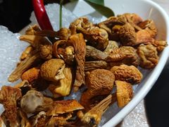 -探窝·竹笙椰子鸡(杨箕店)