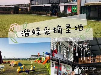 享受城市里的田园风光,溜娃的好去处