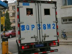 -和平搬家公司