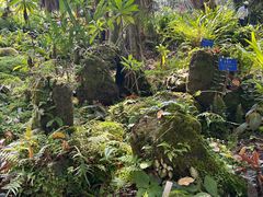 -中国科学院西双版纳热带植物园