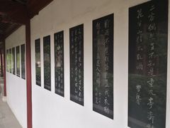 -檀园