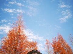 -广州市流溪河国家森林公园