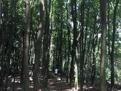 -广州市帽峰山景区