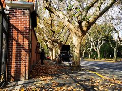 -一尺花园(安和花园店)