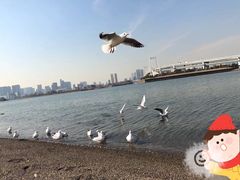 -台场海滨公园船码头