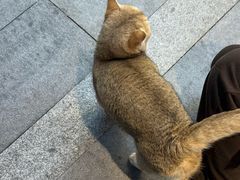 -四海之家(蛇口店)