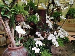 -春晖园度假酒店温泉