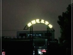-曲阳花鸟市场(曲阳路店)