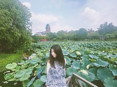-美兰湖景区