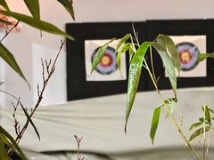 -少林功夫文化中心·独门独院