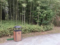 -咸宁万豪温泉谷度假区